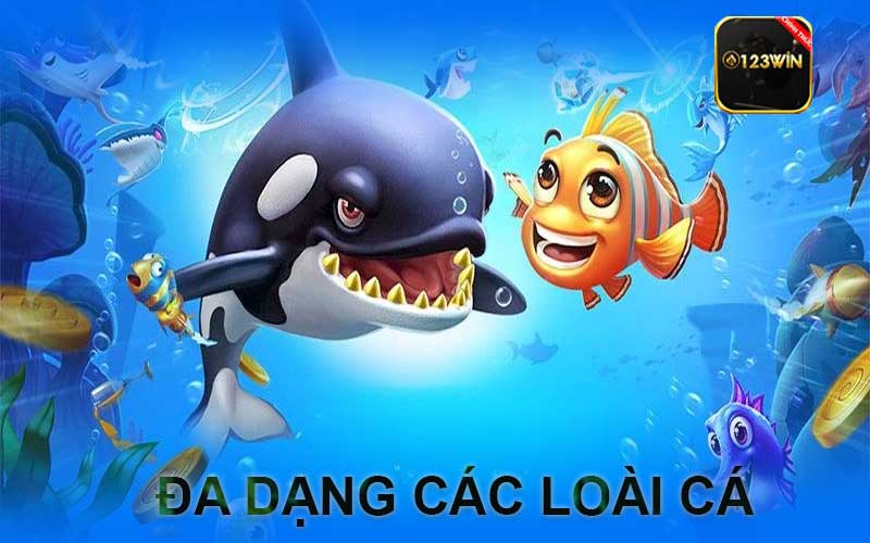 Đa dạng các loài cá