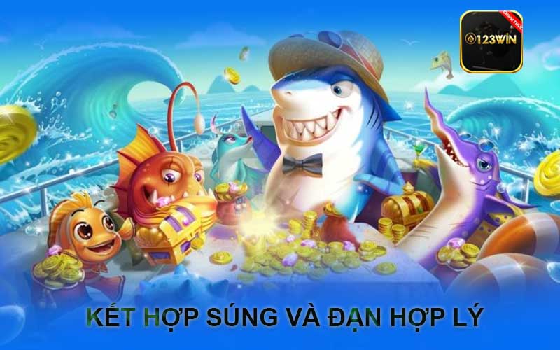 Kết hợp súng và đạn hợp lý